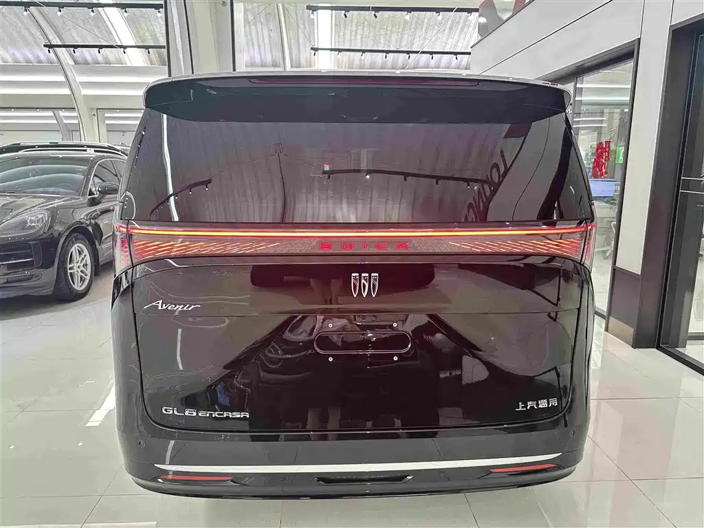 Buick Electra Encasa — миниатюра 20