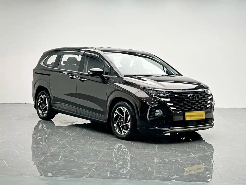 Hyundai Custo — миниатюра 8