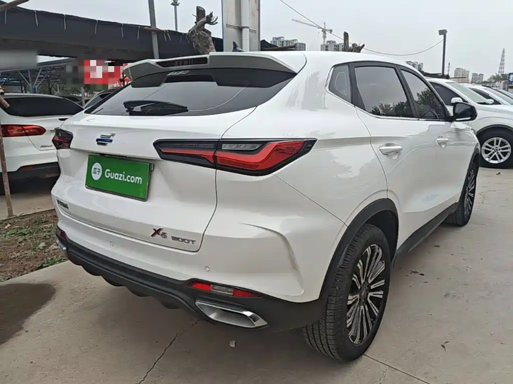 Oshan Oushang X5 — миниатюра 7