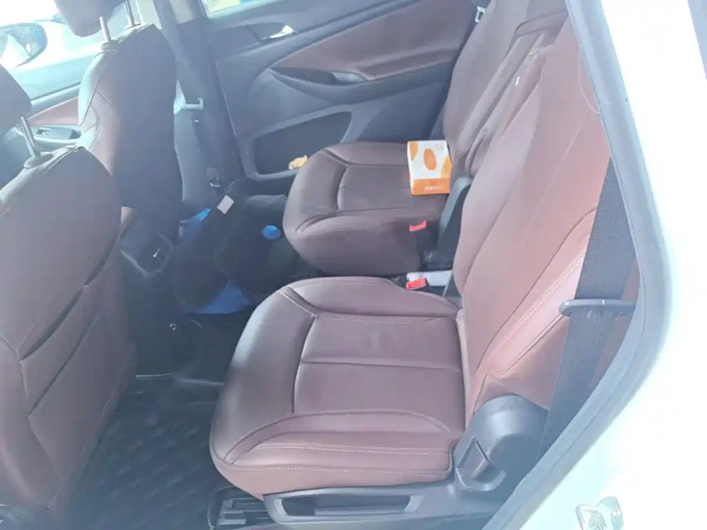 Buick GL6 — миниатюра 17