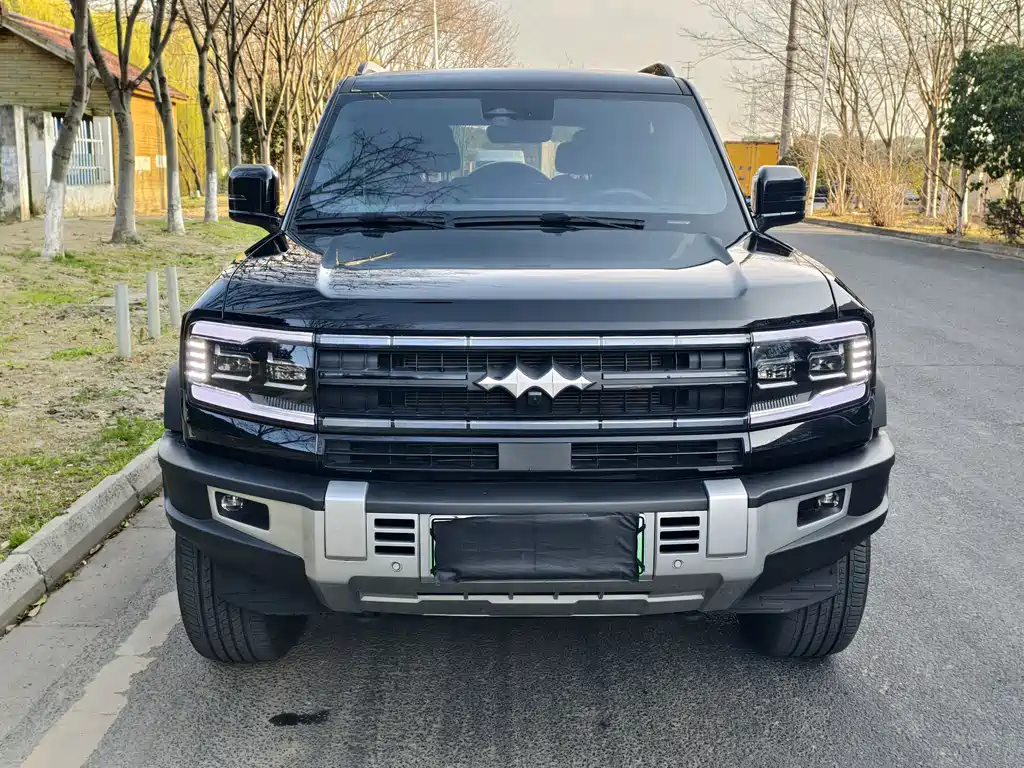 FANG CHENG BAO LEOPARD 5