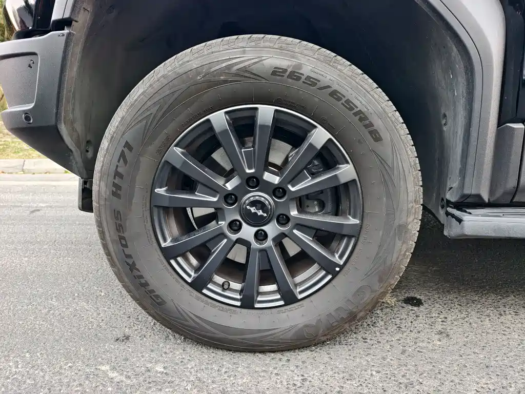 FANG CHENG BAO LEOPARD 5