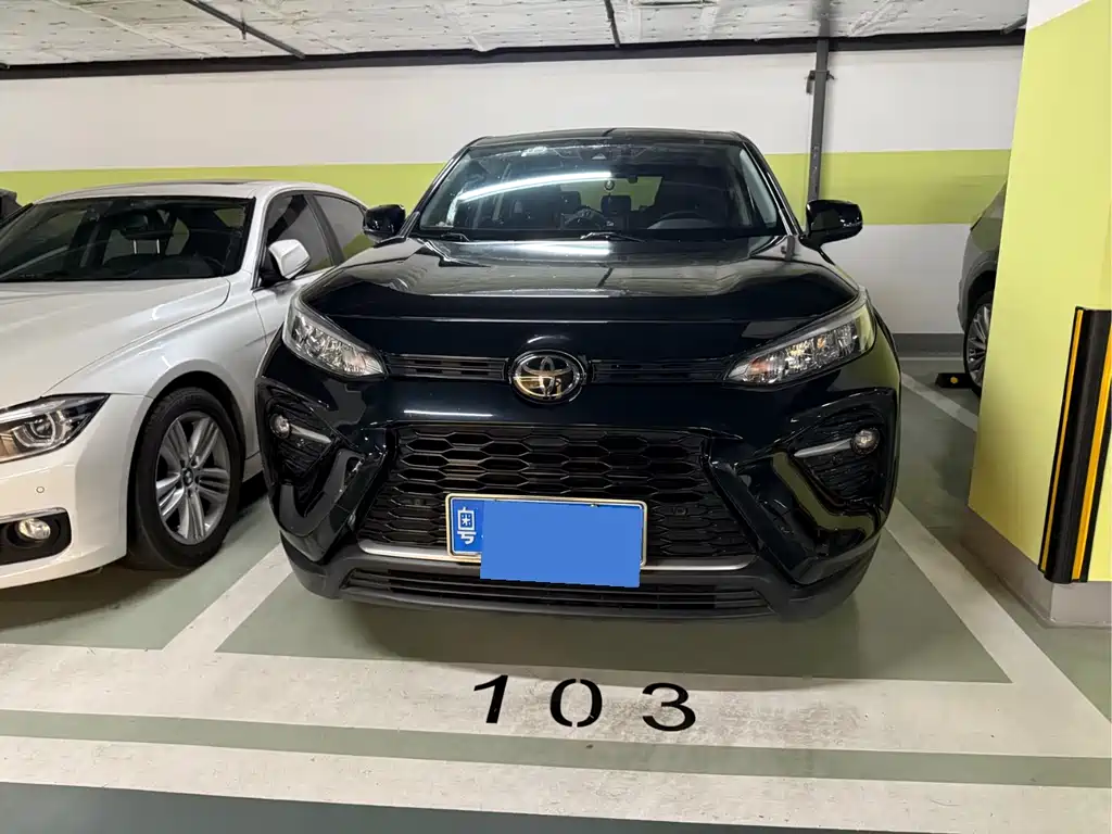 Toyota Wildlander 2020
