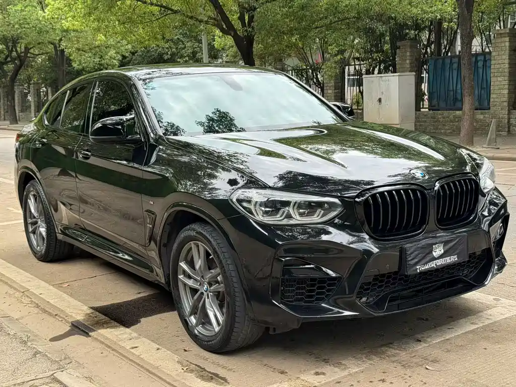BMW X4 — миниатюра 3