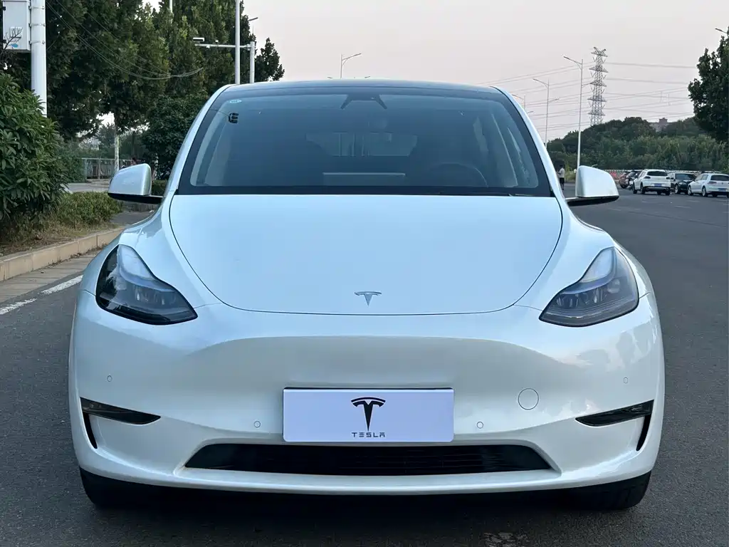 Tesla Model Y — миниатюра 2