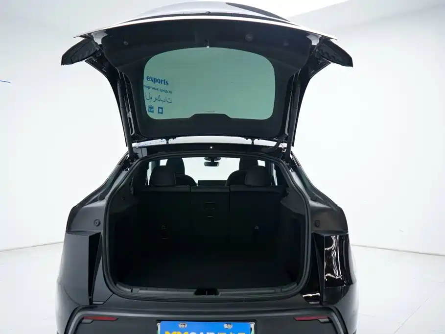 Tesla Model Y — миниатюра 10