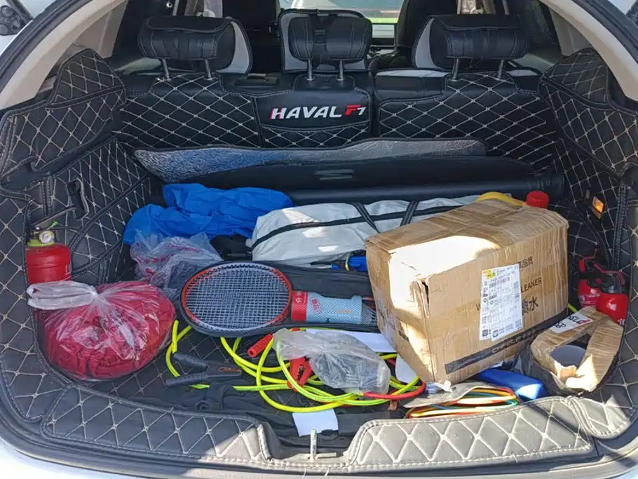 Haval F7 — миниатюра 4