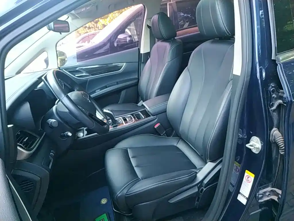 BYD MAX — миниатюра 15