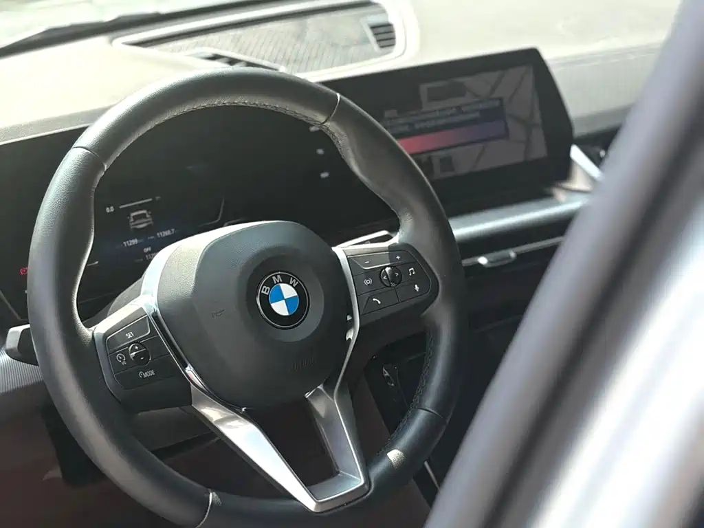 BMW X2 (Import) — миниатюра 2