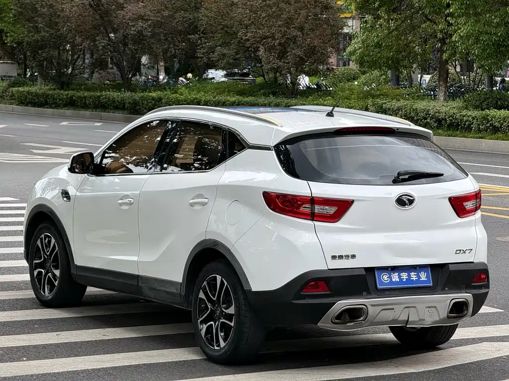 Soueast DX7 — миниатюра 17