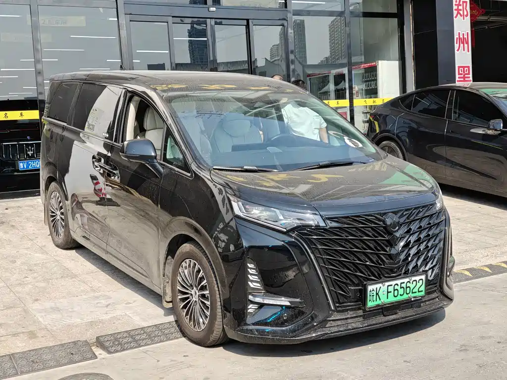 Denza Denza D9 — миниатюра 3