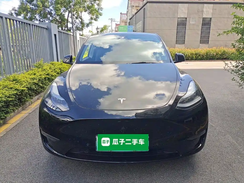 Tesla Model Y — миниатюра 3