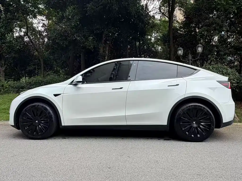 Tesla Model Y — миниатюра 3