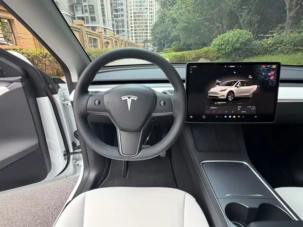 Tesla Model Y — миниатюра 9