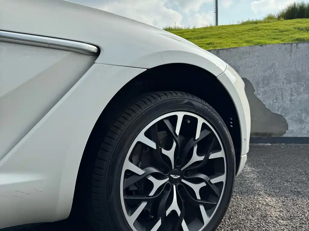 Aston Martin DBX — миниатюра 22