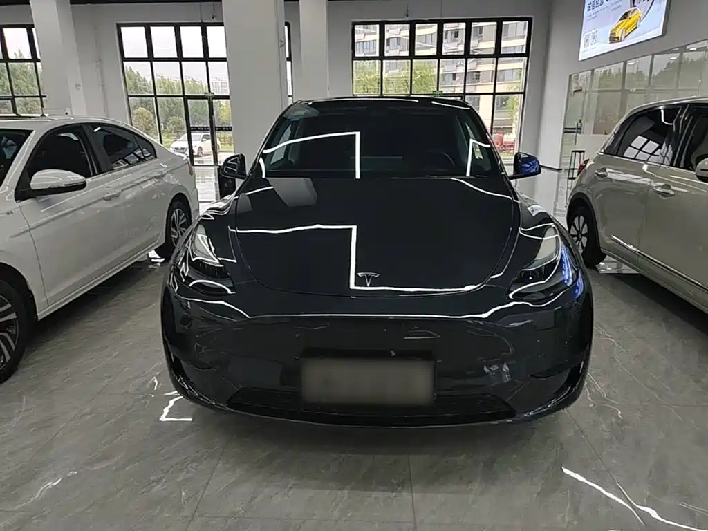 Tesla Model Y — миниатюра 3