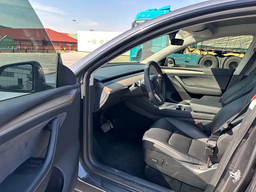 Tesla Model Y — миниатюра 15