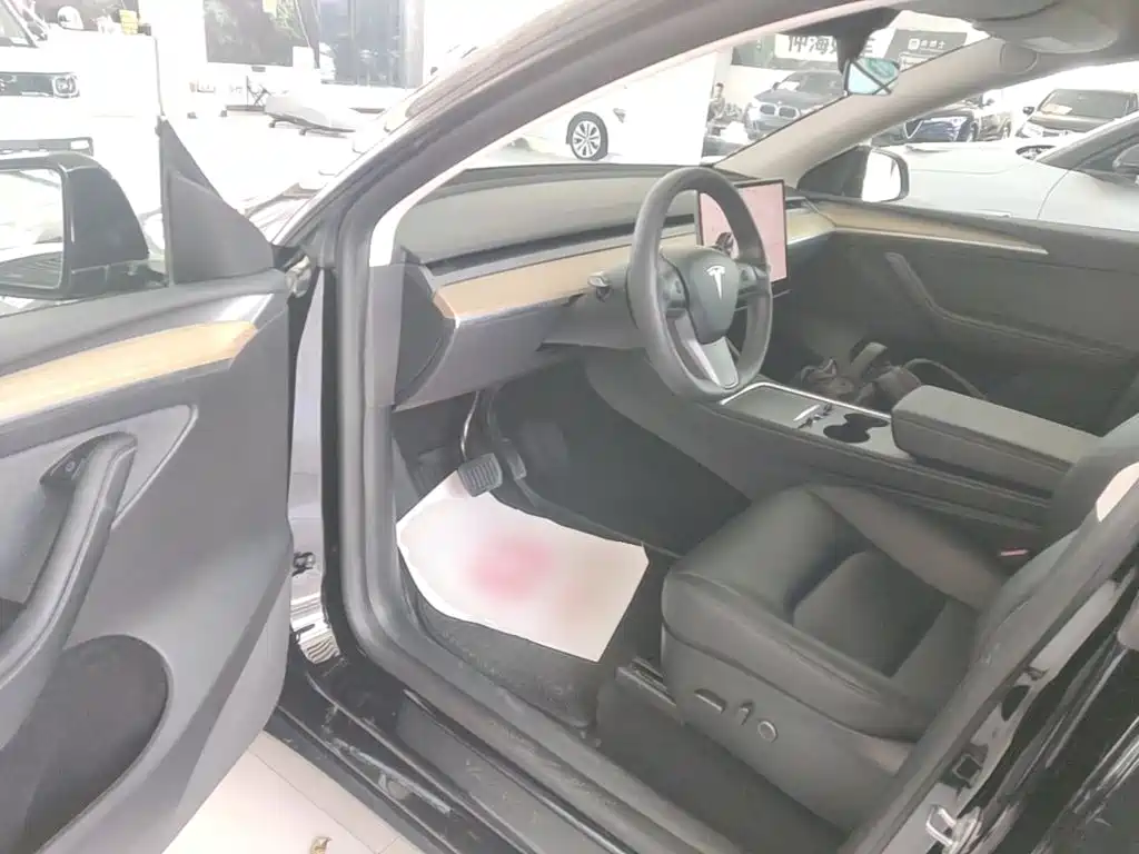 Tesla Model Y — миниатюра 16