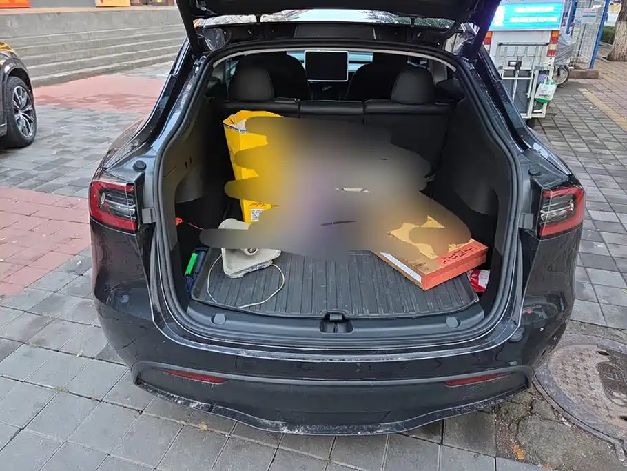 Tesla Model Y — миниатюра 4