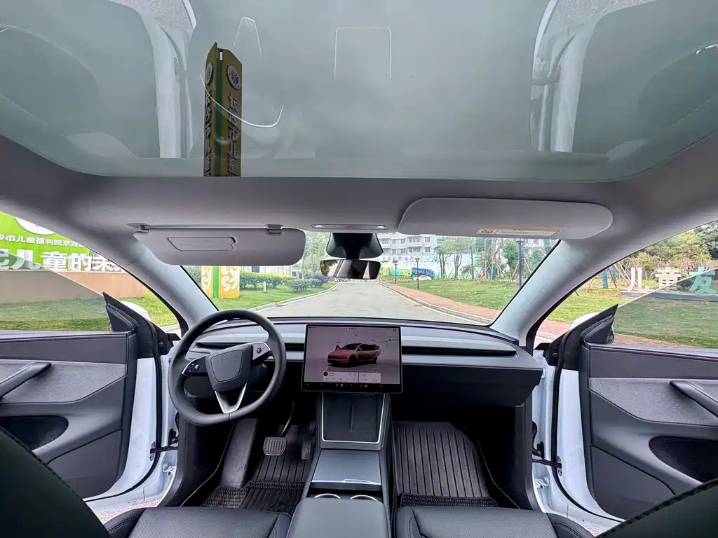 Tesla Model Y — миниатюра 7