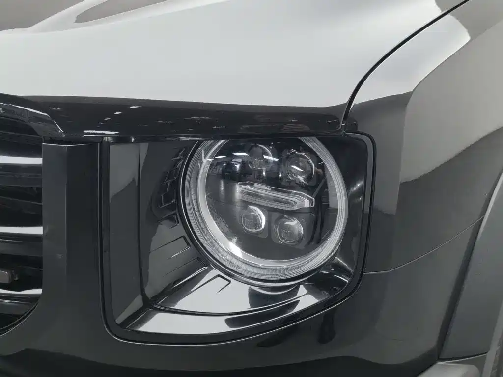 Haval Big Dog — миниатюра 7