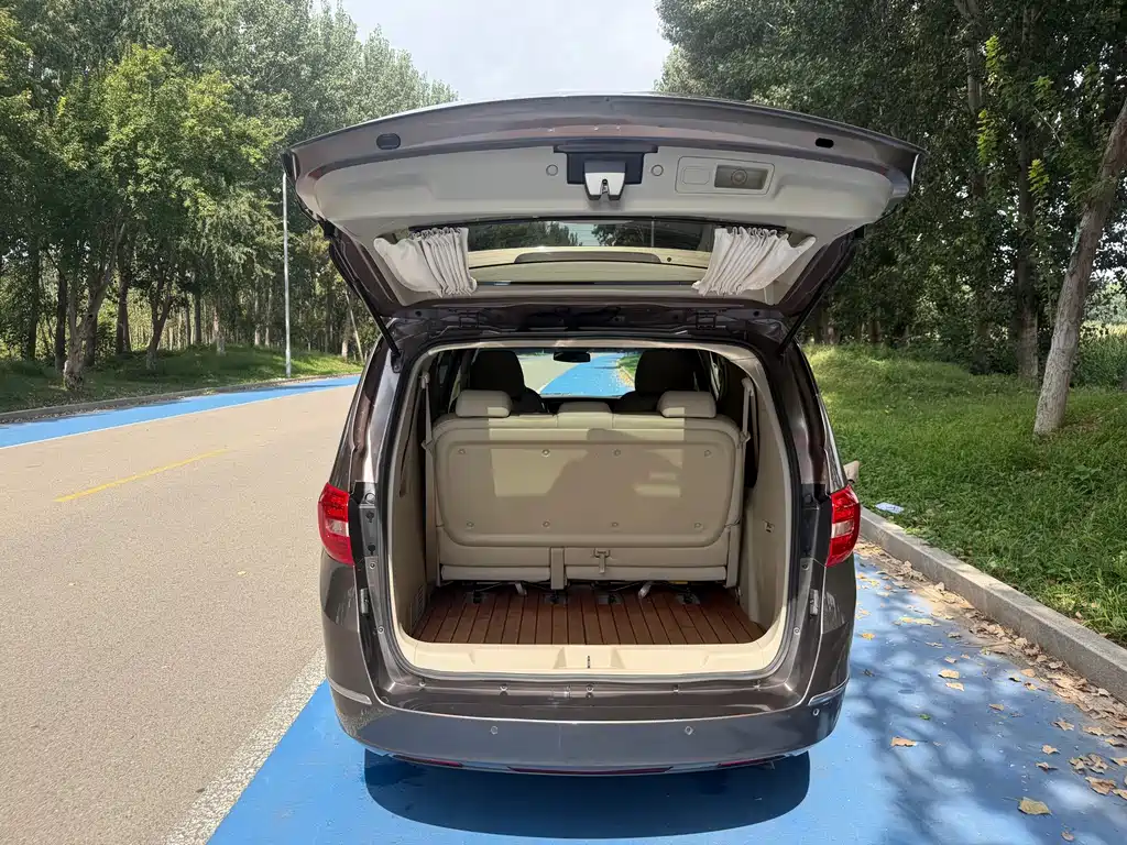 Buick GL8 — миниатюра 16