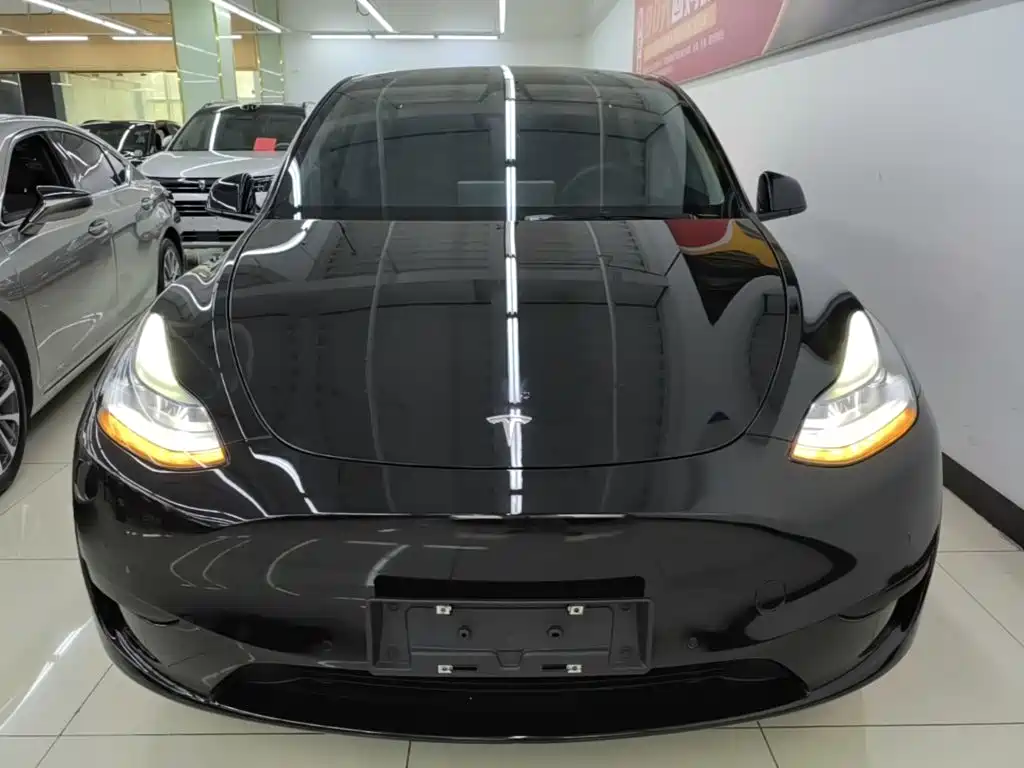 Tesla Model Y — миниатюра 3