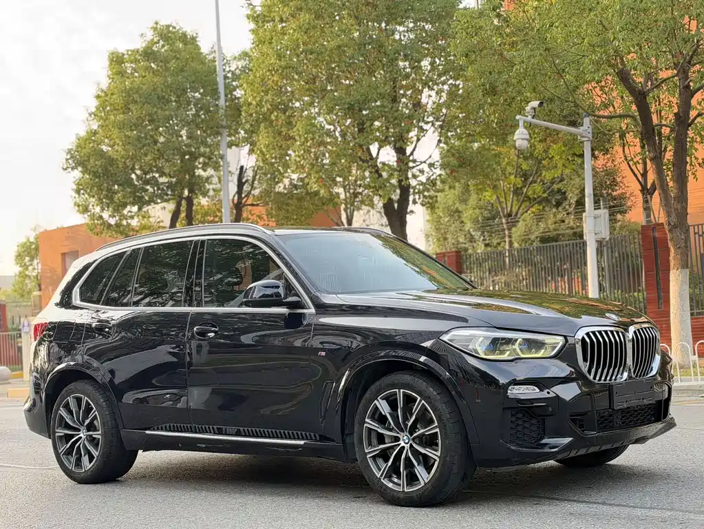 BMW X5 (Import) — миниатюра 3