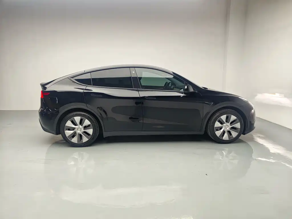 Tesla Model Y — миниатюра 8