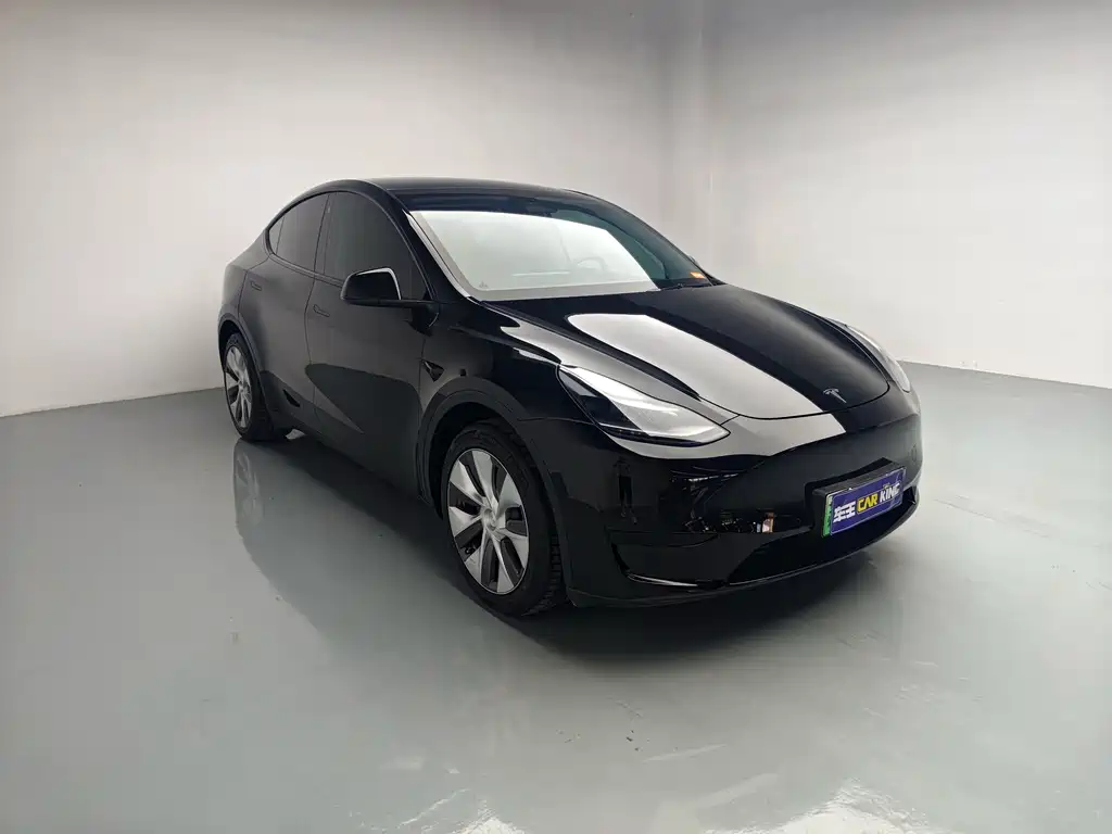 Tesla Model Y — миниатюра 3