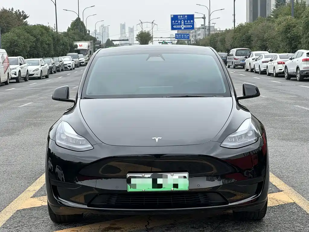 Tesla Model Y — миниатюра 2