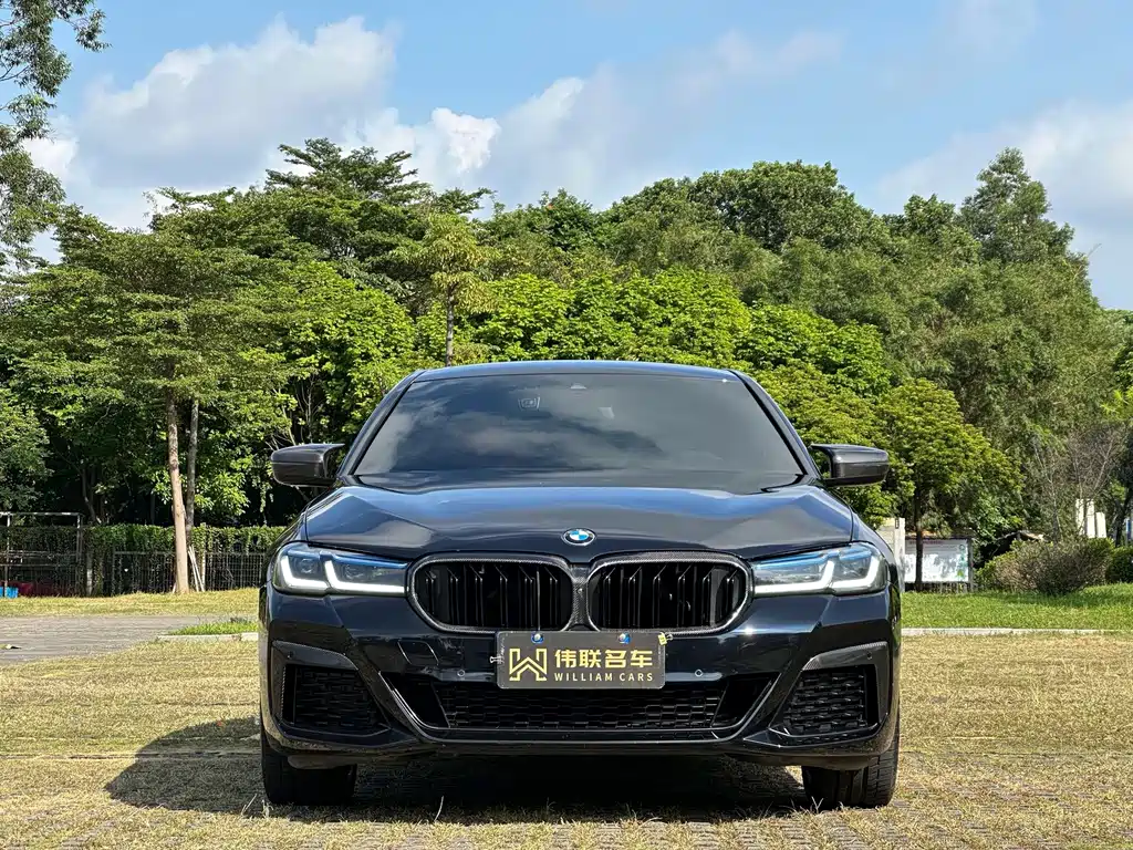 BMW 5 Series — миниатюра 2