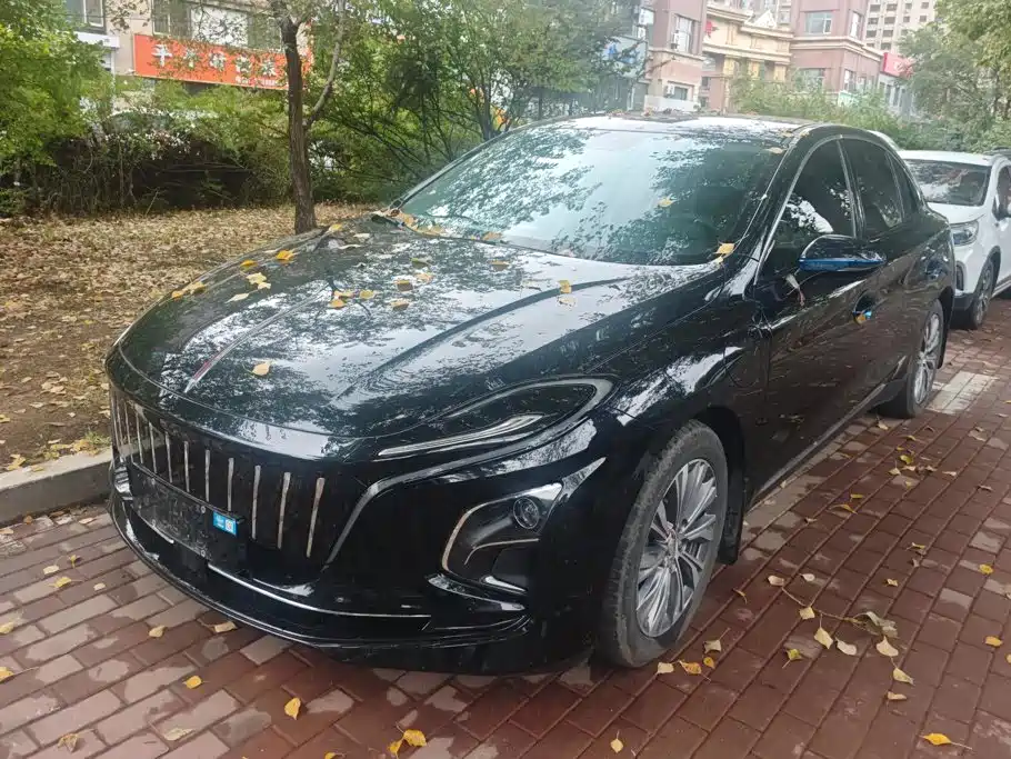 Hongqi Hongqi E-QM5