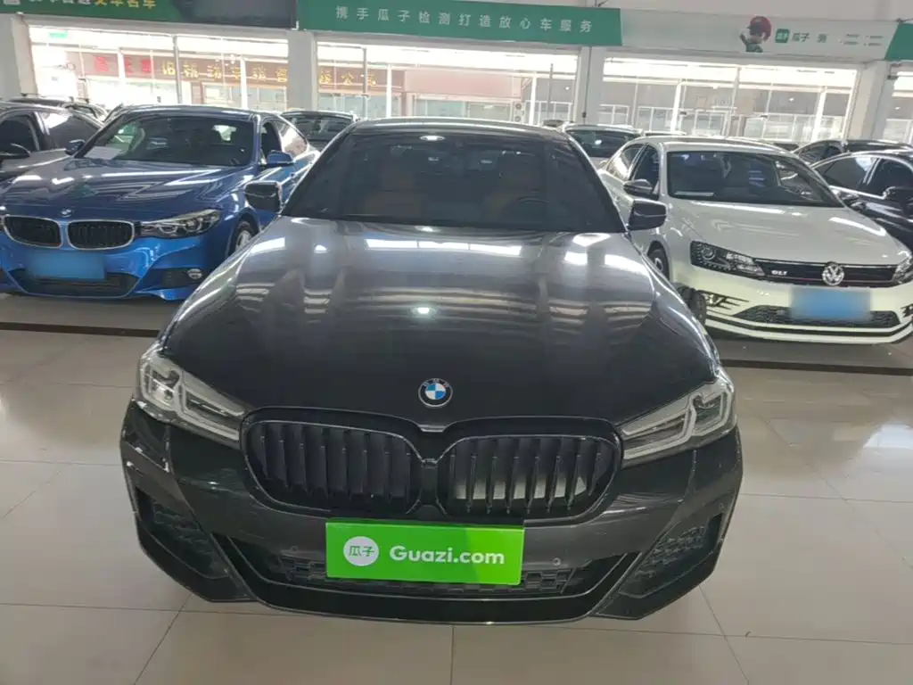 BMW 5 Series (Import) — миниатюра 3