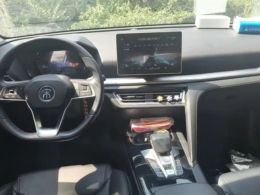BYD Pro — миниатюра 12