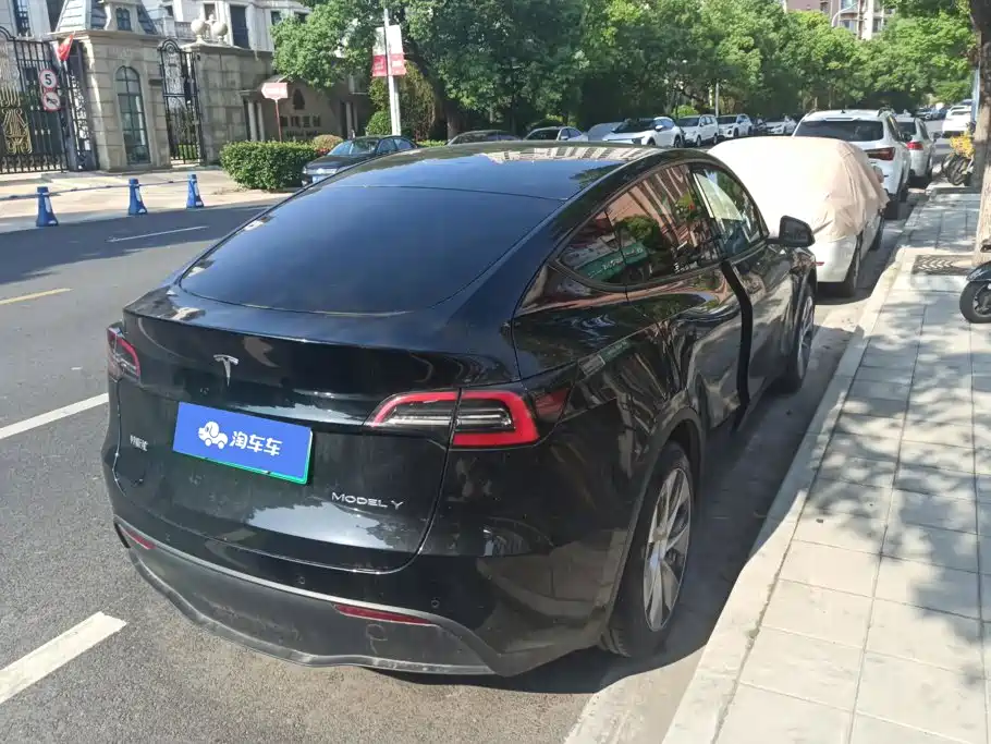 Tesla Model Y — миниатюра 3