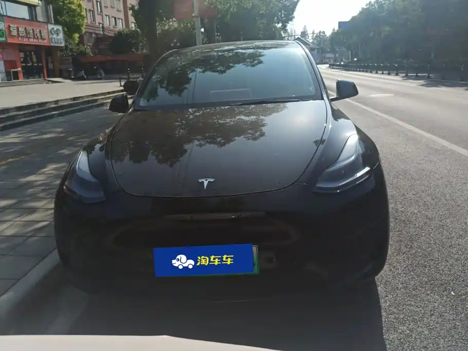 Tesla Model Y — миниатюра 2