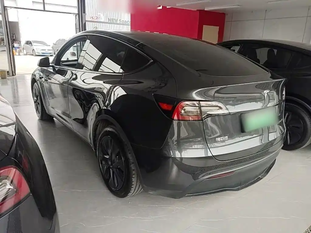 Tesla Model Y — миниатюра 5