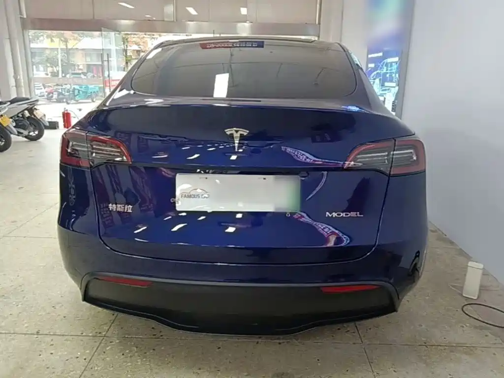 Tesla Model Y — миниатюра 6