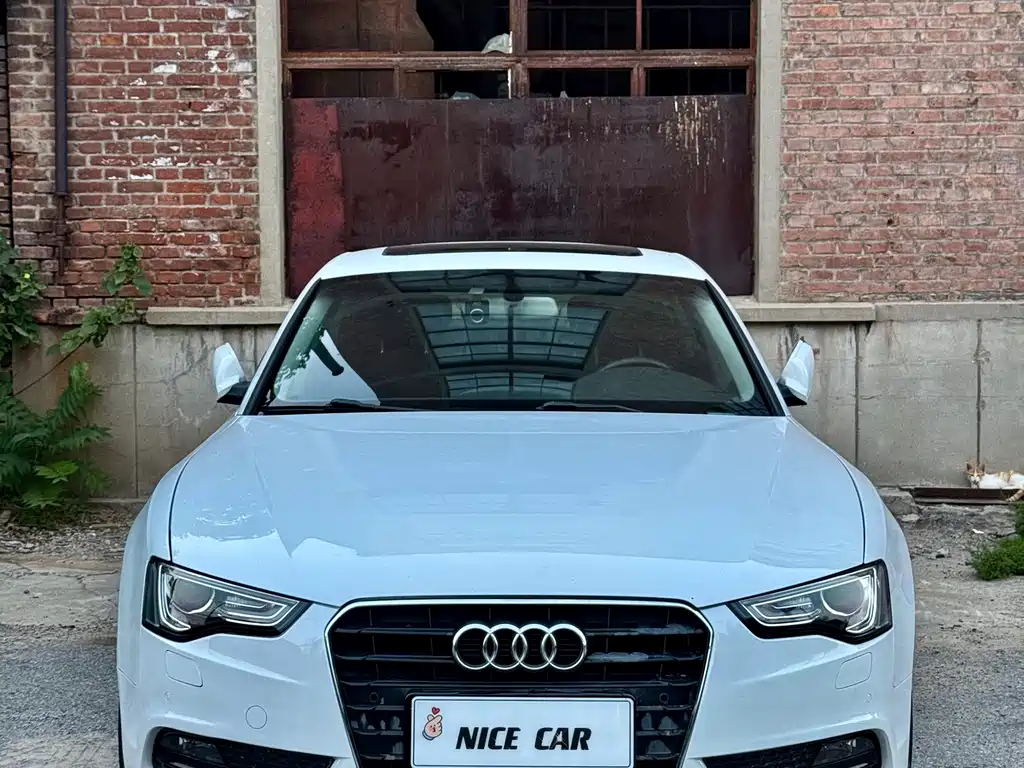 Audi A5 (Import) — миниатюра 2