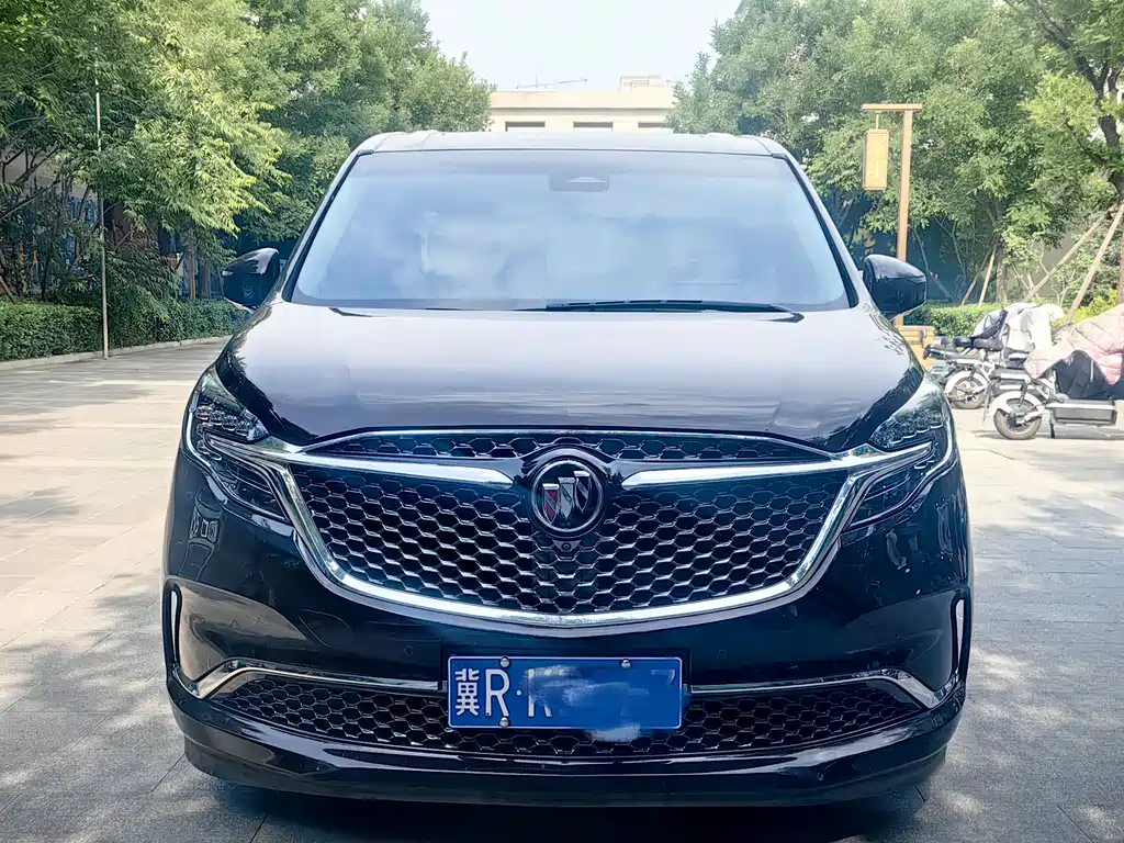 Buick GL8 2020 Avenir Avenir 6-seat Sage Ceremony Edition