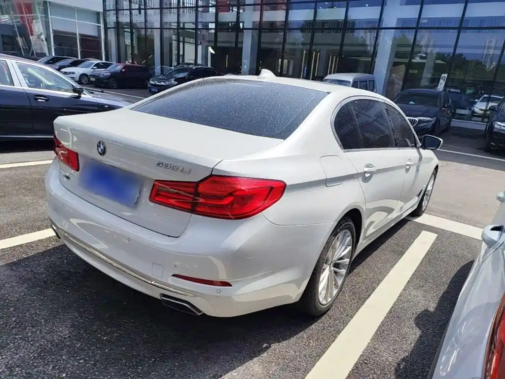 BMW 5 Series 5 2020 530Li xDrive Luxury
