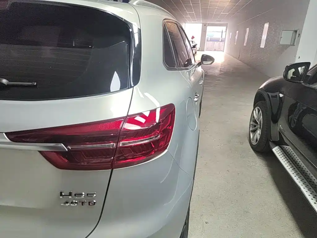 Hongqi HS5 2019 2.0T