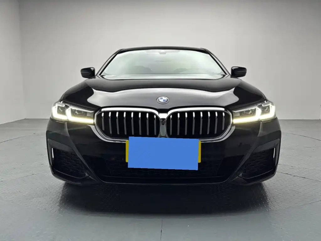 BMW 5 Series — миниатюра 2