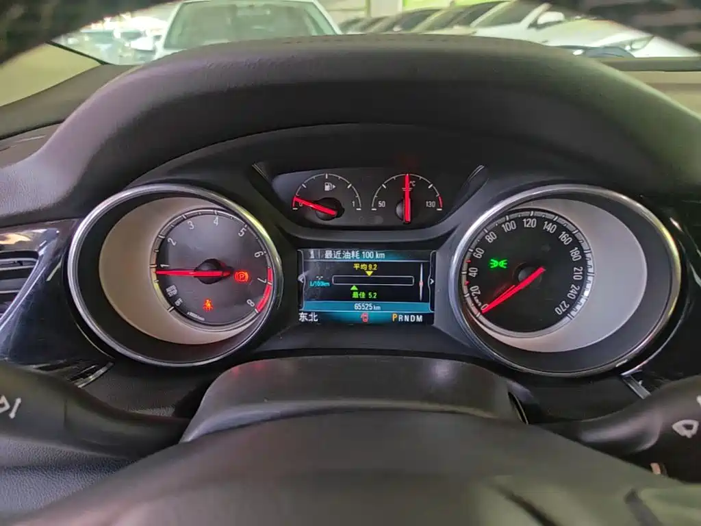 Buick Regal — миниатюра 12