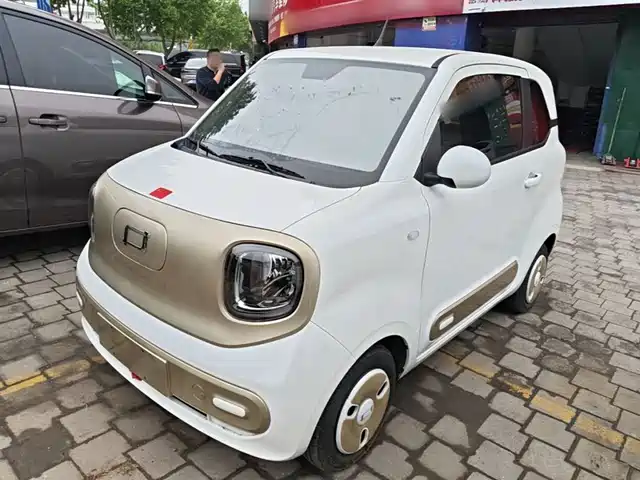 2024 Bestune Pony