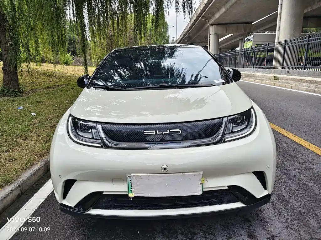 BYD Dolphin — миниатюра 2
