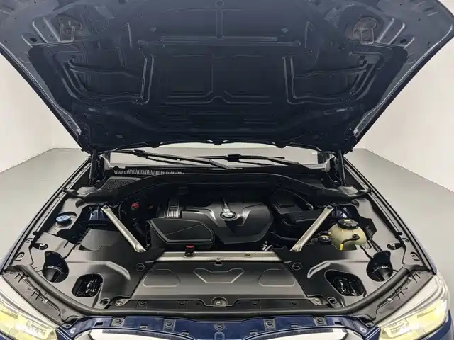 BMW X3 — миниатюра 8