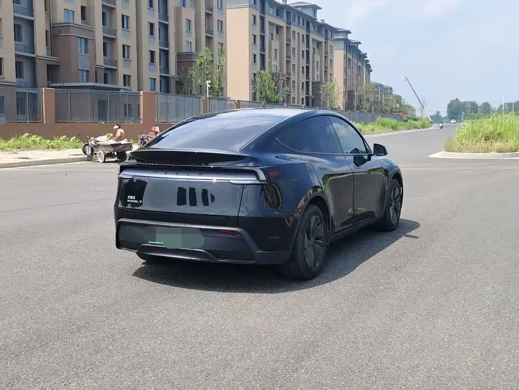 Tesla Model Y — миниатюра 6
