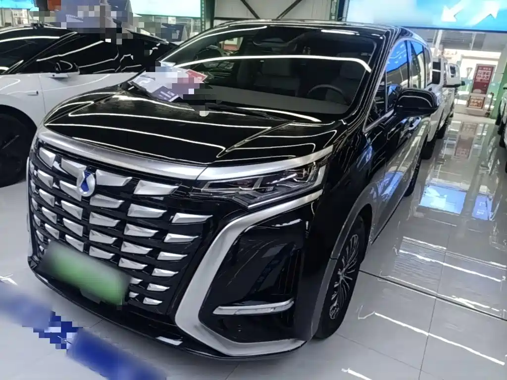 Denza Denza D9 — миниатюра 2